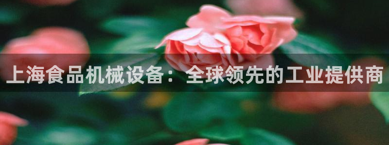 球盟会网址多少
