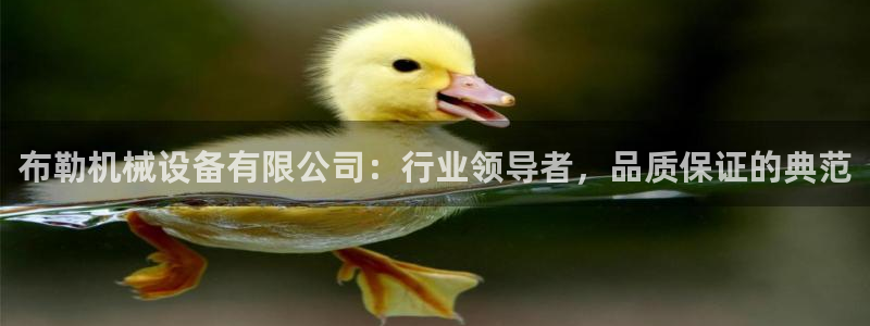 球盟会qm8597