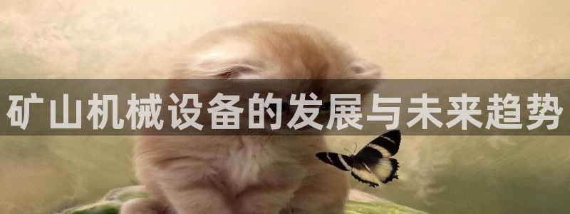 球盟会官网app下载