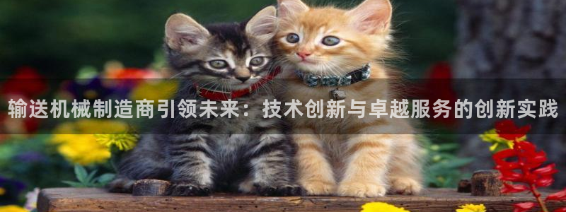 球盟会APP下载