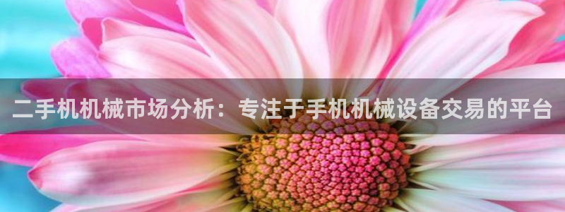 球盟会登陆中心