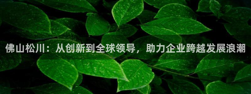 球盟会黑钱