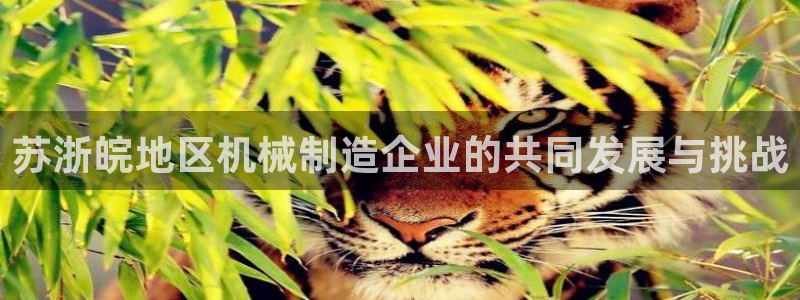 球盟会吧