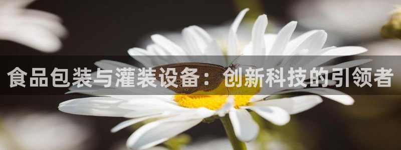 球盟会里面有打牌的嘛知乎