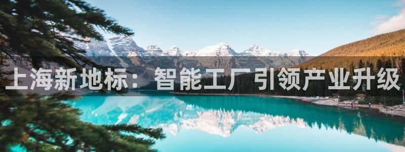 球盟会在线网站