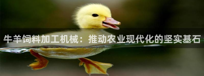 球盟会在线网站