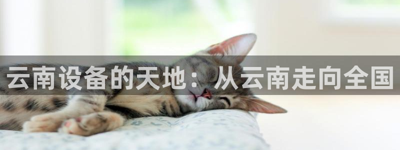 球盟会连接