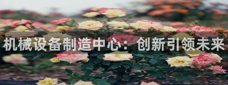球盟会黑