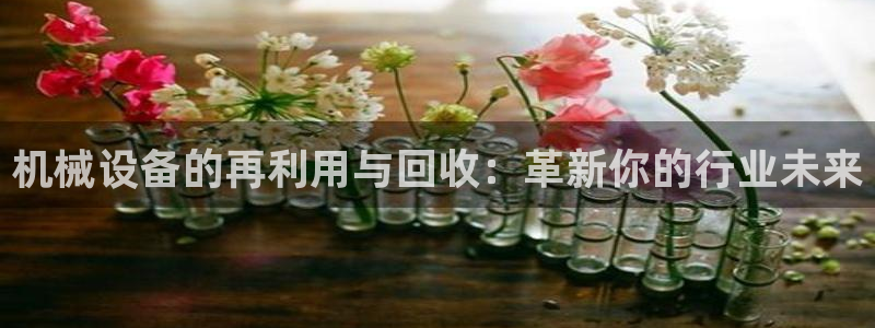 球盟会有没有黑单的球员