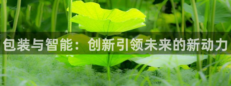 球盟会体验金