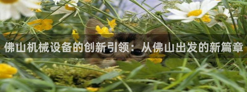 球盟会黑款吗