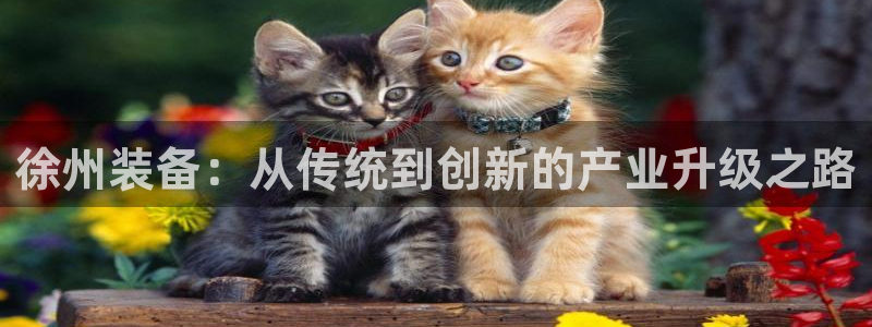 球盟会黑款吗知乎小说