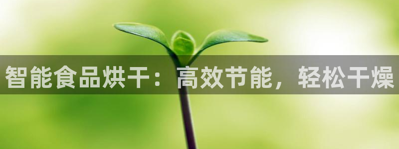 球盟会中国官方网站