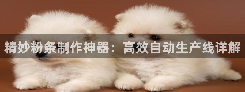 球盟会app最新地址在哪看