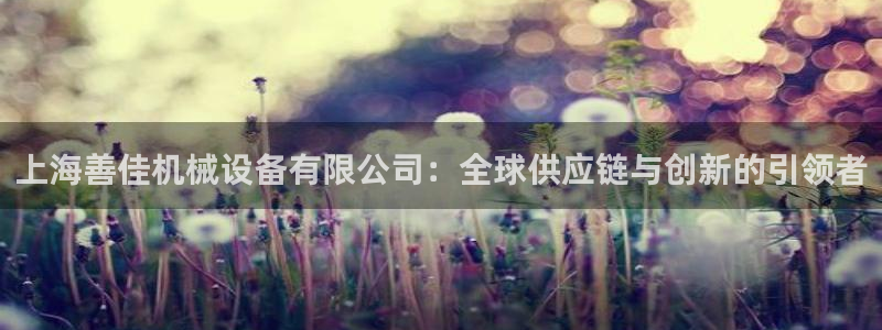 球盟会下款快吗