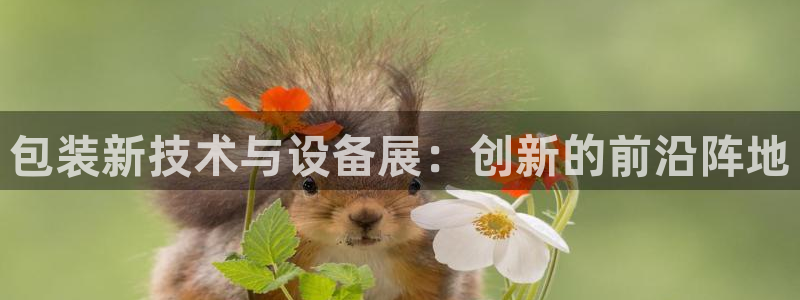 球盟会能退钱吗