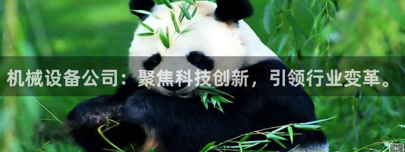 球盟会和中欧