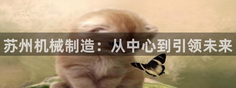 球盟会网址多少