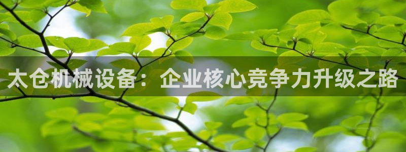球盟会提款支付宝怎么样