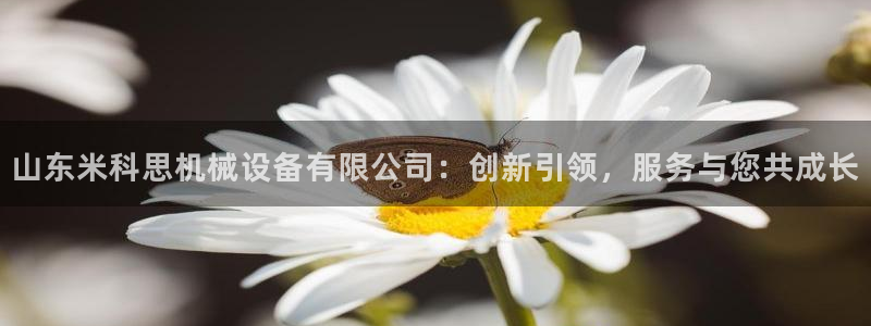 球盟会qmh