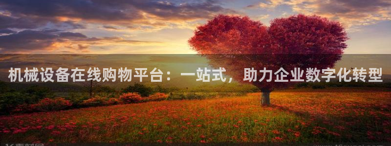球盟会头号玩家
