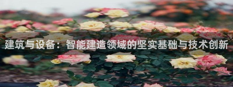 球盟会在线官网