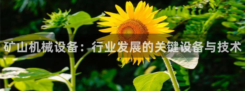 球盟会登陆