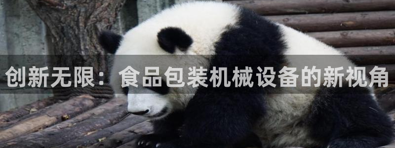 球盟会在线官网