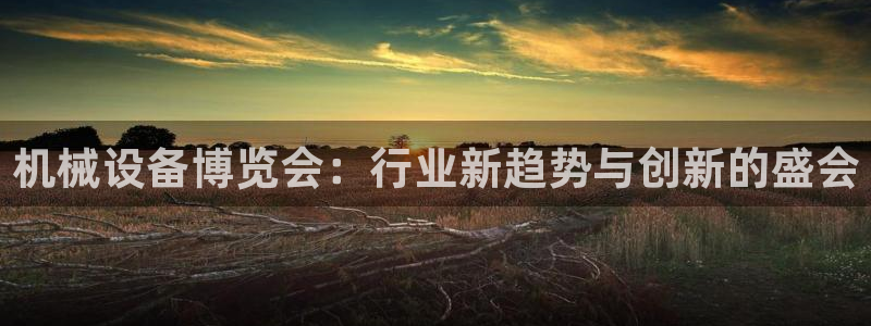 球盟会官方