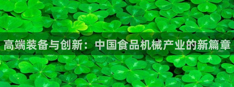 球盟会用的客服聊天是哪个软件