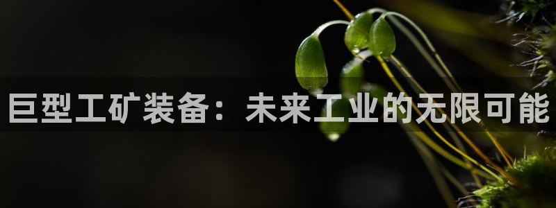 球盟会论坛