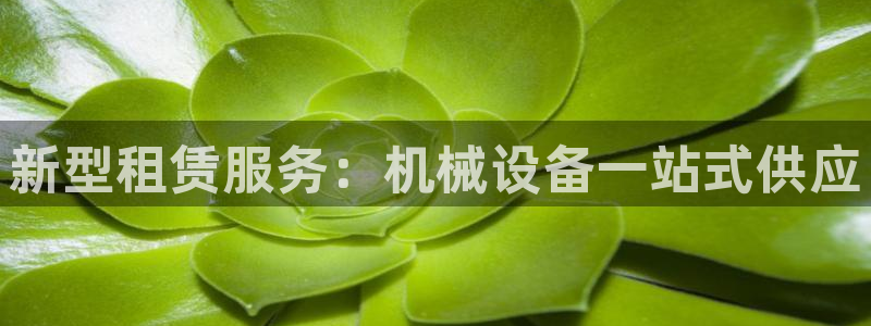 球盟会进不去球员吗