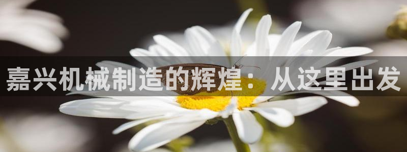 球盟会qmh - 球盟会官方网站