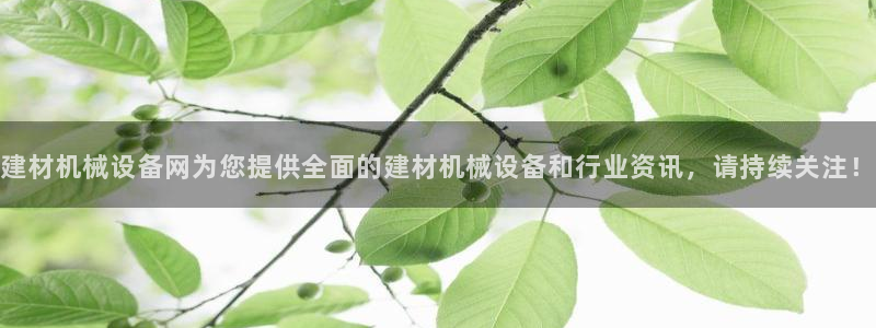 球盟会官方网页登录
