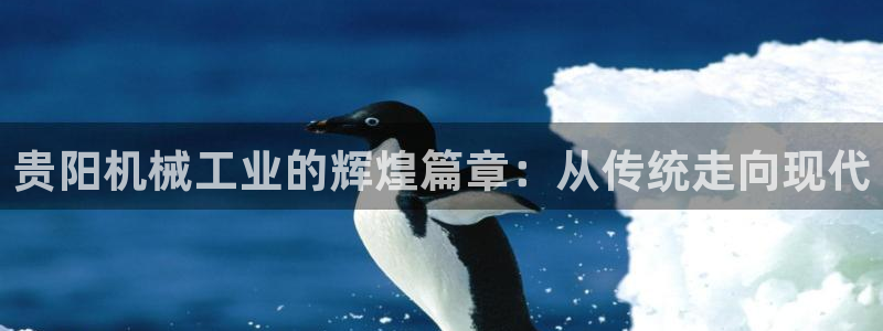 球盟会黑