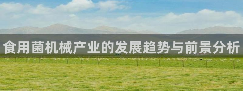 球盟会黑款吗还是白款
