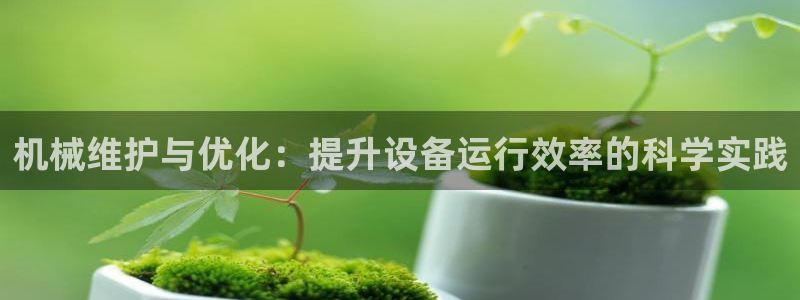 球盟会和中欧