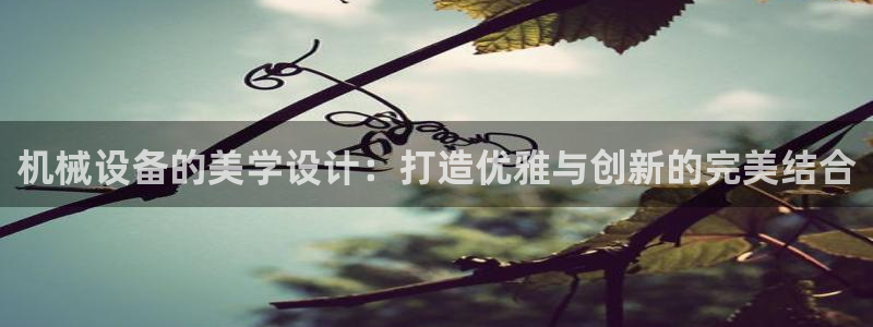 球盟会国际官网