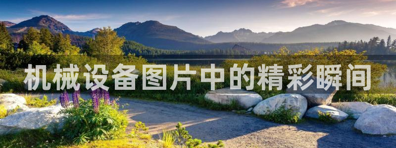 球盟会最新