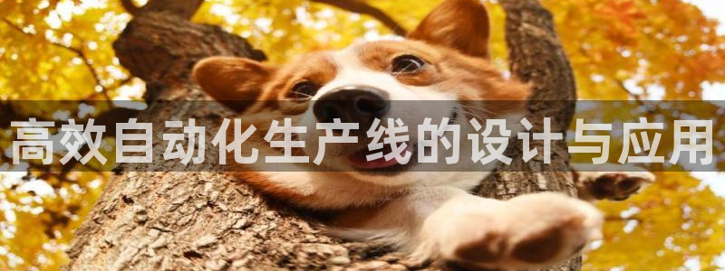 球盟会提款支付宝怎么样