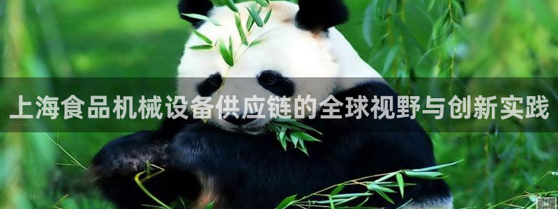 球盟会qm9