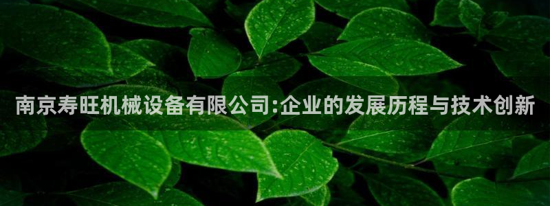 球盟会电子