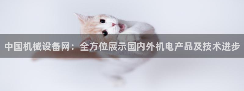球盟会几点玩合适