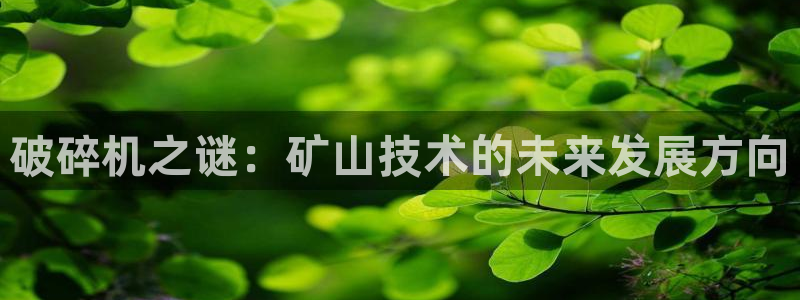 球盟会里面有打牌的嘛是真的吗