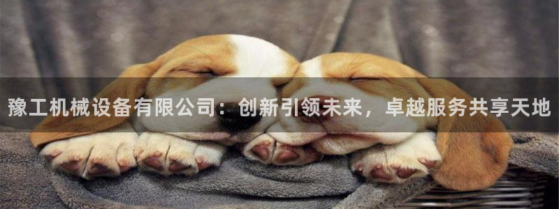 球盟会电子
