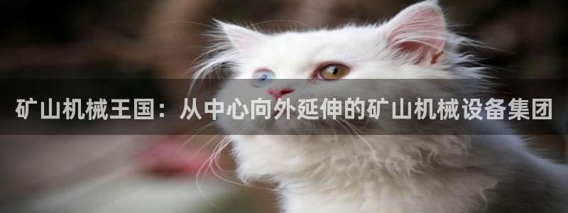 球盟会平台会黑单吗