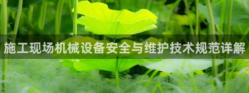 球盟会综合体育平台