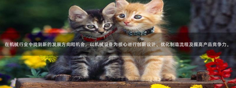 球盟会网址