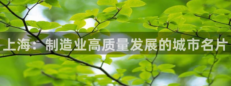 球盟会app网址多少号