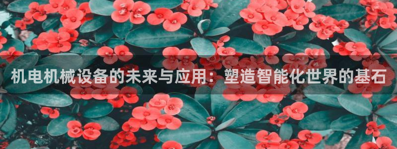 球盟会体验金